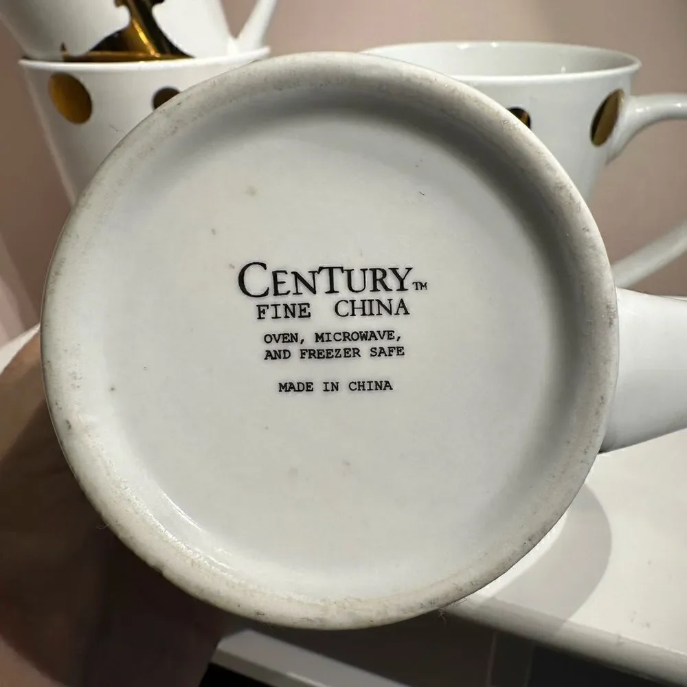 Mug Set of 4 CENTURY Fine China 5